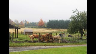 Enquiring Minds Montessori at Willowgrove Farms 2023