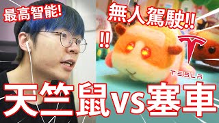 大人都看天竺鼠車車網友Diy整到好崩潰 安心到不行既安心出行...改錯名吧