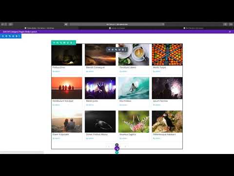 Divi FilterGrid - Archive Page Query Type