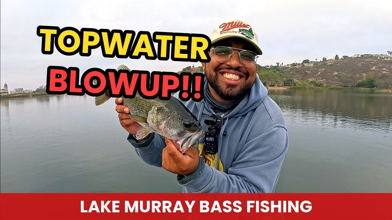 They Wouldn't Stop Eating Topwater! (Lake Murray Bass)