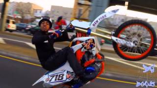 Hovito914 Leekydabikestar