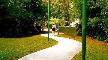 Why Do [ We Need Our Library ] ?