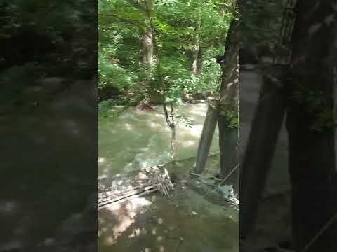 رستوارن همسفر گوگوش و بهروز وثوقی 