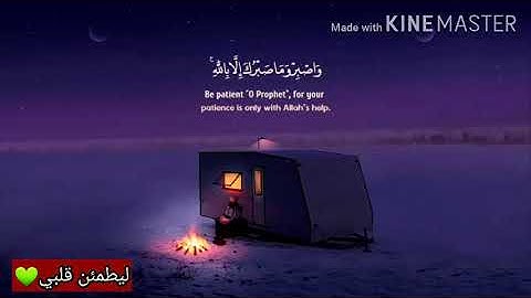 قران كريم بصوت الشيخ /وديع اليمني ❤اجمل حالات واتس اب دينيه