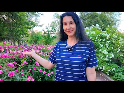 самое скучное видео