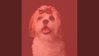 Sultry Ambience for Cozy Dogs