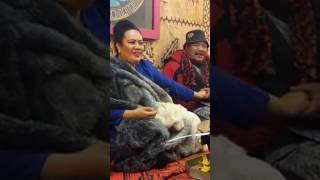 Inglewood Tongans What Really Happens At The Fai Kava Haha