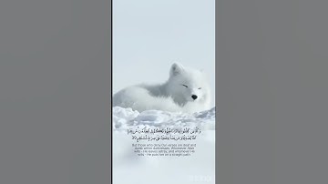 الاية 39 _40 من سورة الانعام