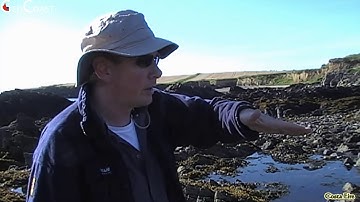 GEOLOGY BASICS: GEOLOGICAL COMPASS, STRIKE, DIP, FOLDS, CLEAVAGE, ETC… ALL EXPLAINED