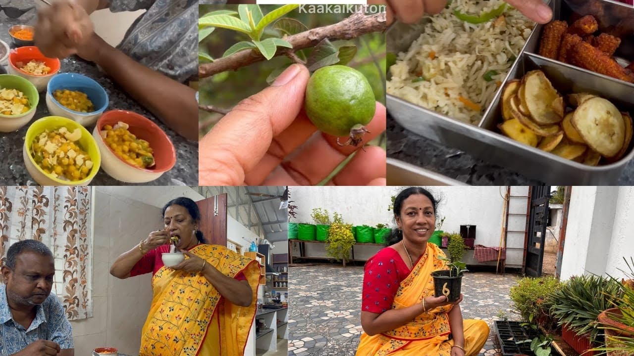 ஆடிப்பட்டம் தொடங்கி விட்டது!!& ரோட்டு கடை சுண்டல்!!🥗✨
