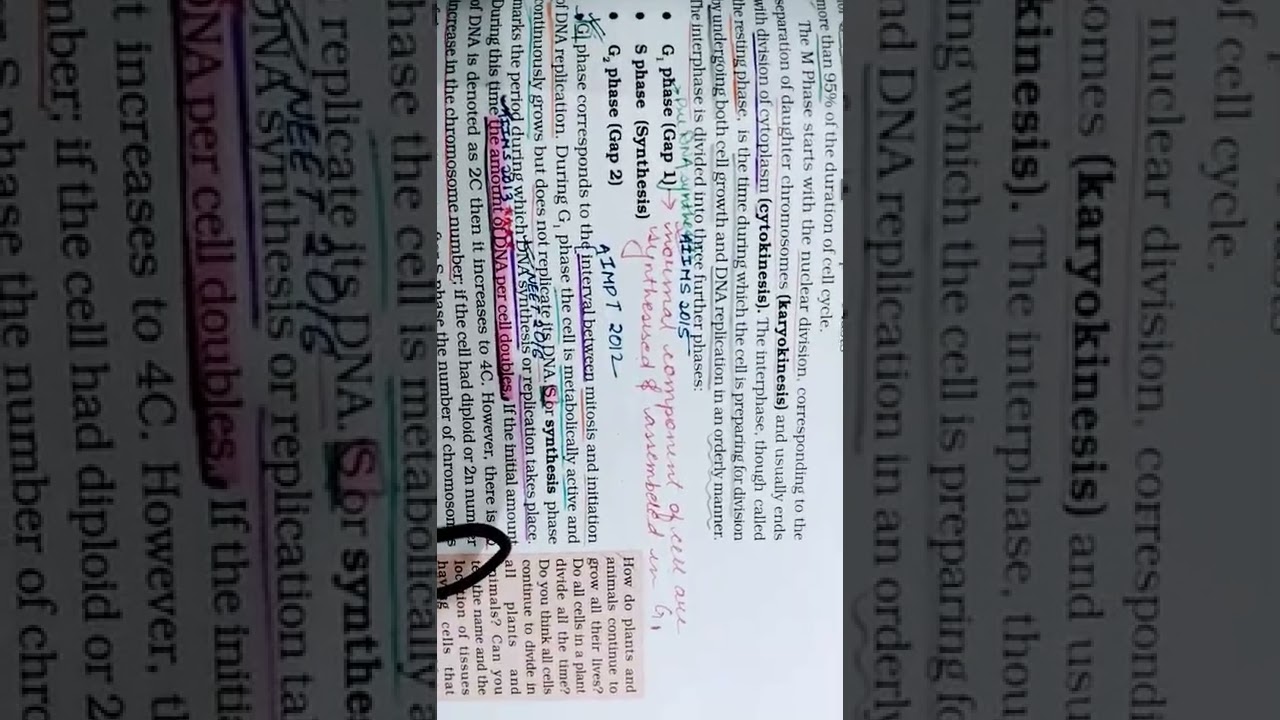 Biology revision | neet | pyq |study with me | cell cycle and cell devision part 3