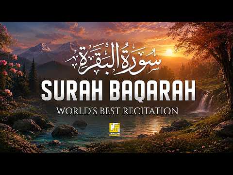 Surah Al-Baqarah (سورة البقرة) | Ultimate Most Heart Touching Quran Recitation | Zikrullah Reciters