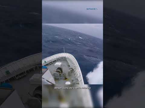 Penampakan Makhluk Misterius