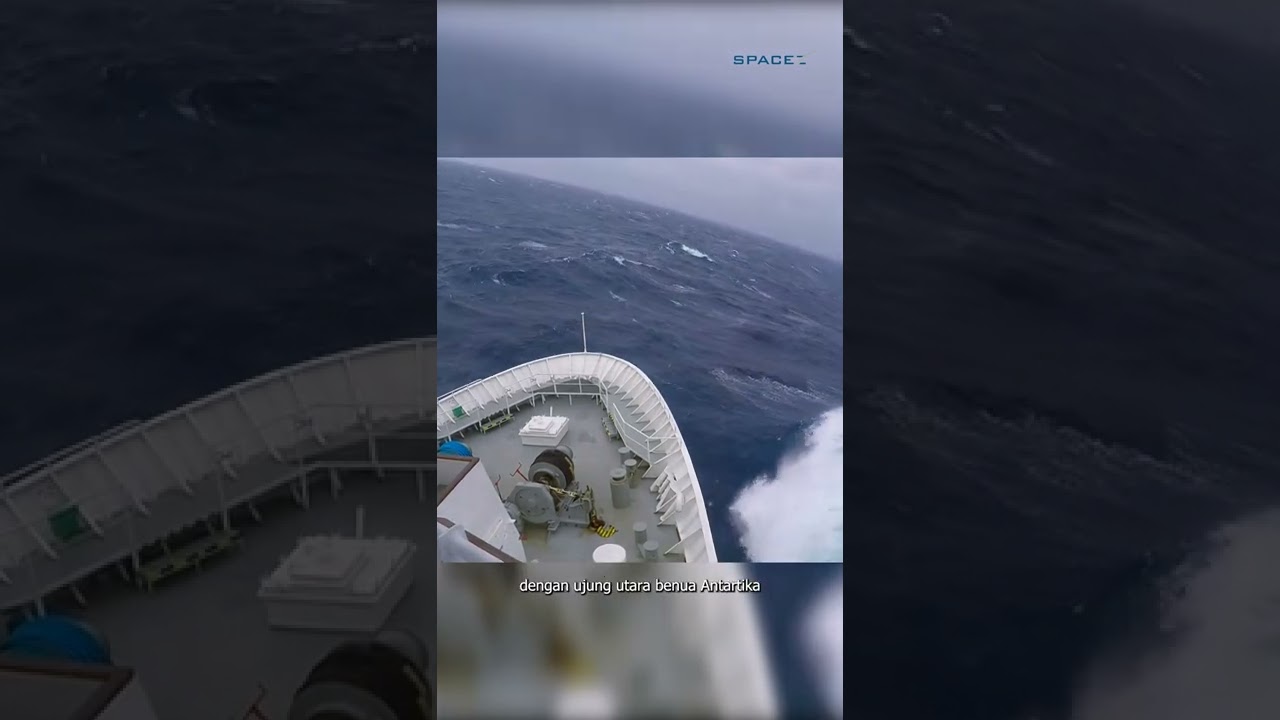 Penampakan Makhluk Misterius di Antartika Bikin Merinding 