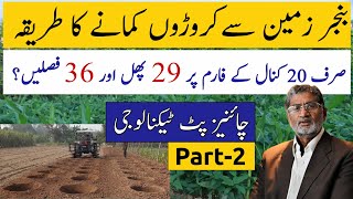 Advanced Irrigation system and Solar System on a Modern Smart Farm in Pakistan Part 2