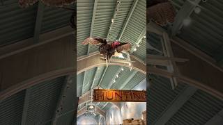 2nd Floor Bass Pro Shops #daytonabeach #florida #outpost #adventure #hunting #fishing #camping