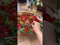 Xmas centrepiece #balcony #home #homedecor #balconyideas #homedecor #diy#garden #balconydecor