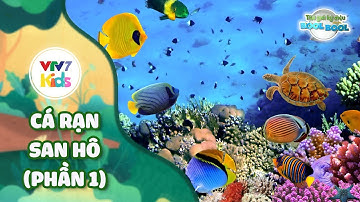 Thế giới kỳ diệu của Bool Bool - Mùa 2 - Số 14 | CÁ RẠN SAN HÔ (Phần 1) | VTV7