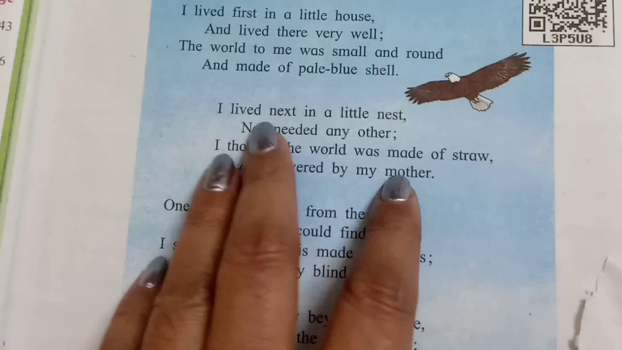 5th-std-english-1-what-a-bird-thought-questions-and-answers-made