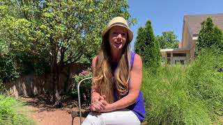 How do our values and self-compassion influence joy