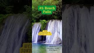 5 Must See Places To Visit In Portland Jamaica Shorts