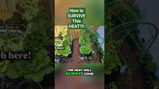 Summer Gardening Hacks for Florida #gardeningtips