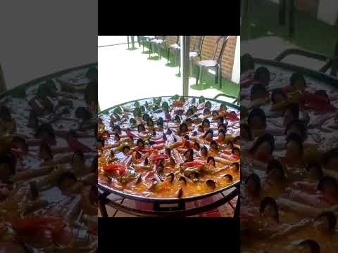 Видео: ¿Piscina o paella? Perspectivas confusas