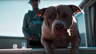 Hood Poet - Burnt Bridges [Music Video]