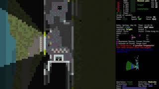 Cataclysm DDA / Bird Brainiac / Ep: 30