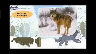 Meet the Animals: Gray Wolf vs Snow Leopard
