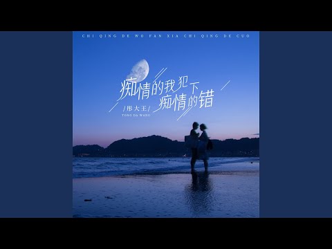 痴情的我犯下痴情的错 (DJ默涵版)