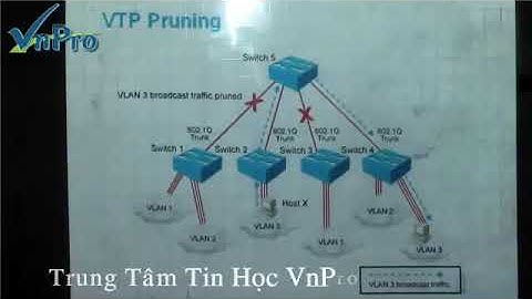 Bài giảng CCNA 16   Bài Giảng VLAN Trunking Protocol VTP   Phần 2