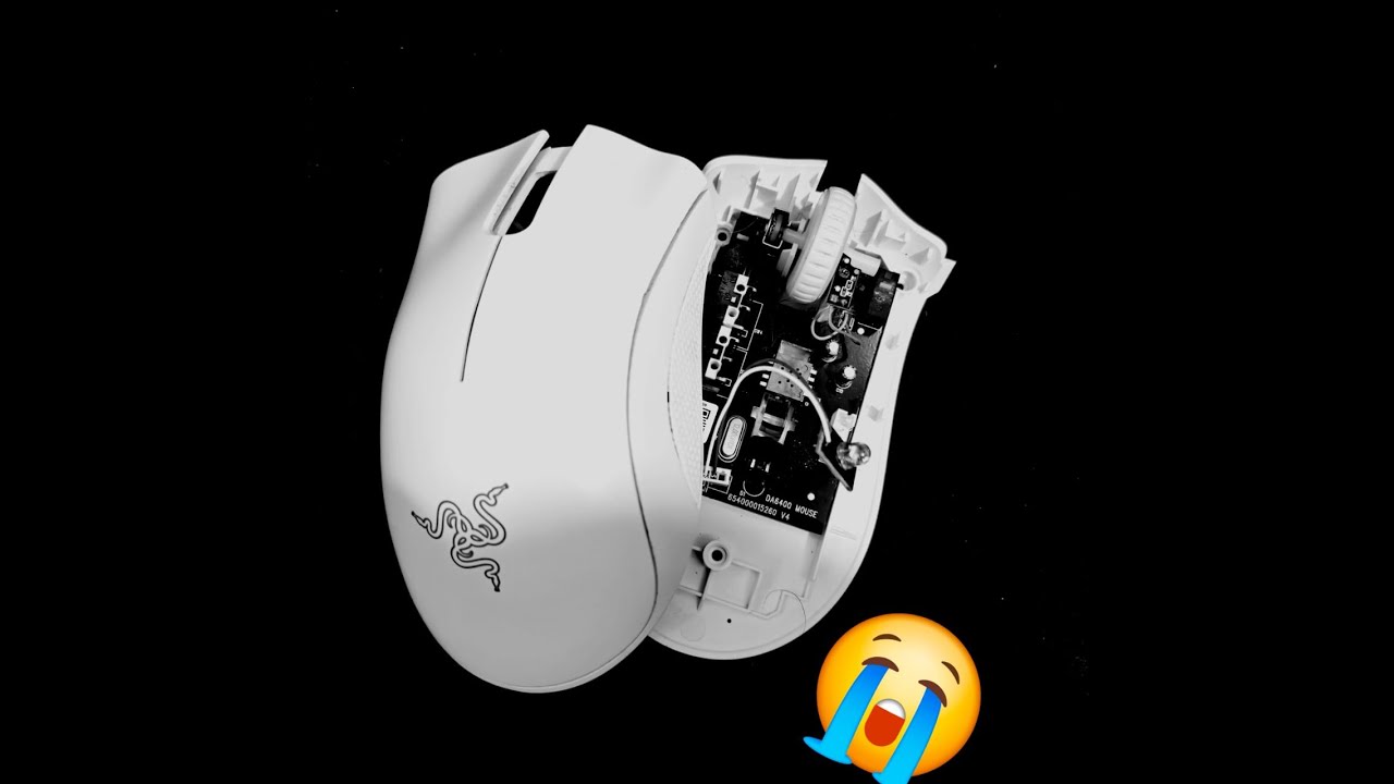 the end of the quake pro...