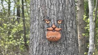 Tree Faces Decor Outdoor To Keep Watch