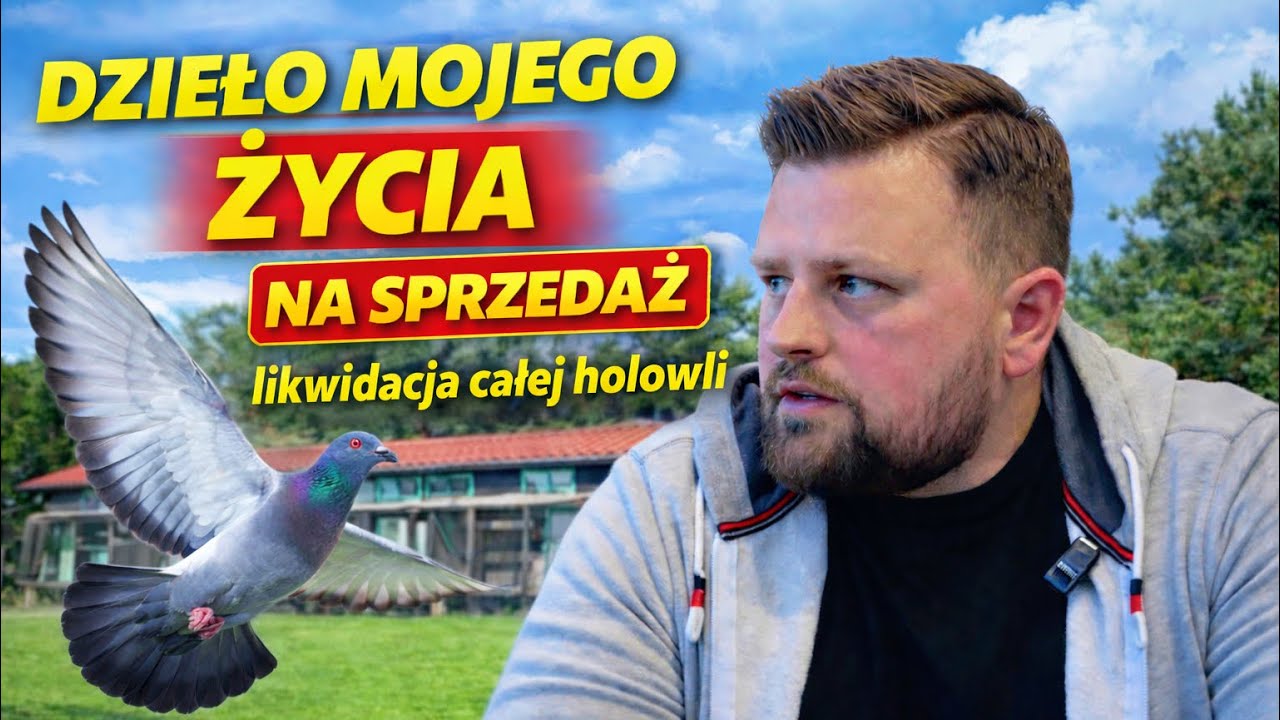 LIKWIDACJA CAŁEJ HODOWLI / Marcin Kociołek. (nieaktualne ⚠️)