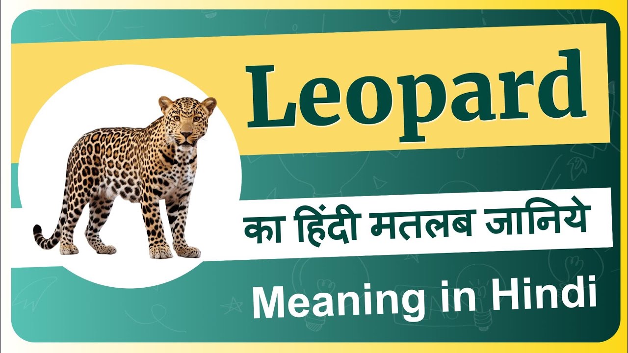 Leopard meaning in Hindi | Leopard ka matlab kya hota hai | Leopard