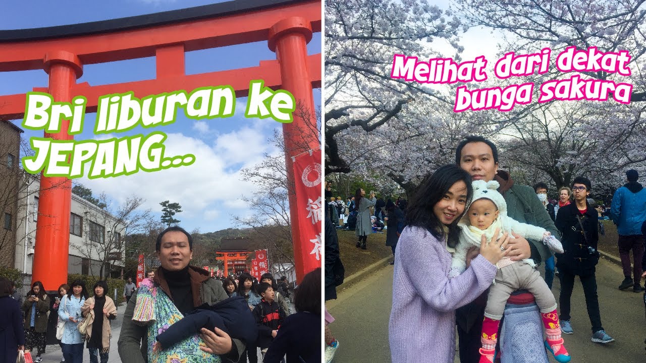 Bri Kecil Ngajak Rombongan Keluarga Ber Hanami di Bawah Sakura / Jepang 2018