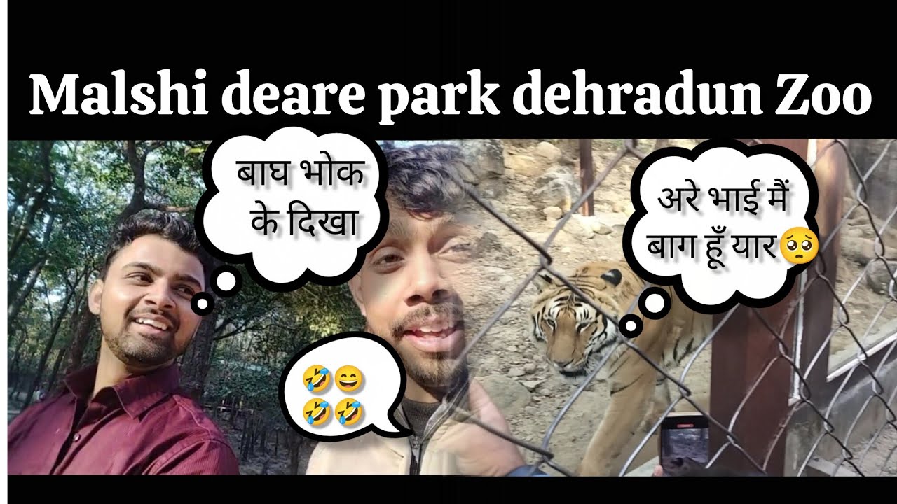 Malshi deare park dehradun Zoo || Zoo me bagh ke sath huya scam  