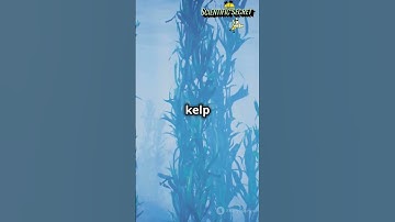 Sea Otters: Guardians of Kelp Forests 🌊🦦 #SeaOtters #KelpForests