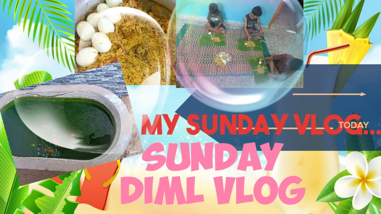 Diml Vlog Sunday DIML Vlog- 1 beef briyani with My kids #r3lifestyle#pnk# ...