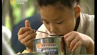 LOS DRAGONES DEL KUNG FU = ENIGMATICO DOCUMENTAL Y MAS =
