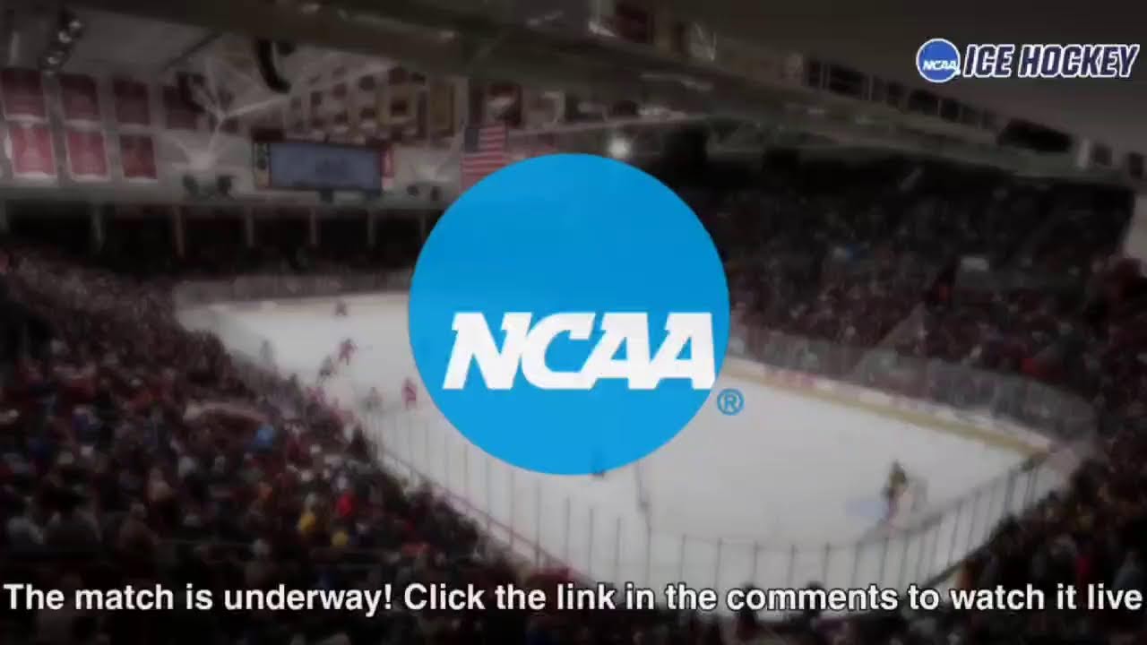 Saint Benedict vs Hamline [LIVE] – NCAA Women's Ice Hockey 2026