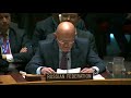 В.А.Небензя на заседании СБ ООН по закону об украинском языке