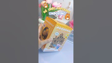 Unbox Đồ Chơi Capybara Túi Labubu....nhân phẩm