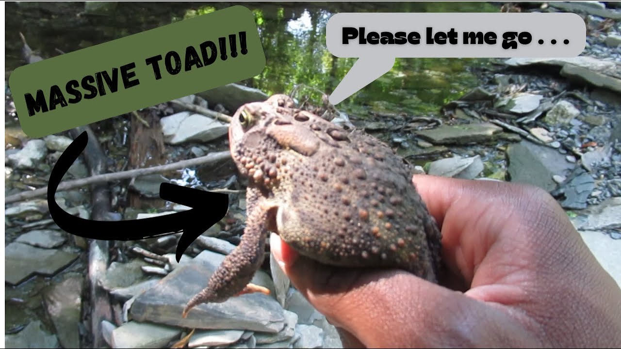 A Marsh Adventure Part Two