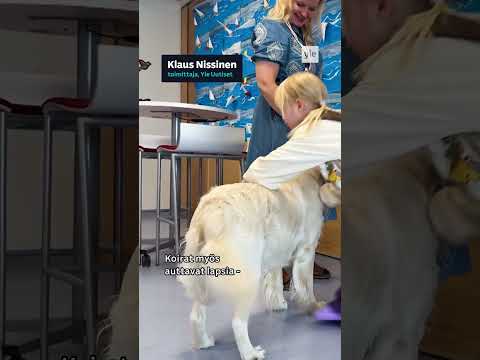 Koulukoira Hilma on lasten ja opettajan suosikki