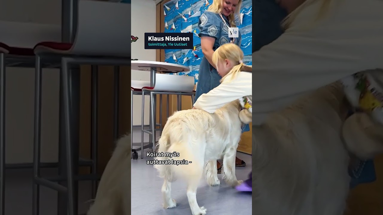 Koulukoira Hilma on lasten ja opettajan suosikki
