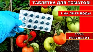 ПОМИДОРЫ НАЛИВАЮТСЯ НА ГЛАЗАХ! ТАБЛЕТКА ОРГАНИКИ ИЗ АПТЕКИ ДЛЯ ТОМАТОВ! СУПЕР ПОДКОРМКА РАСТЕНИЙ