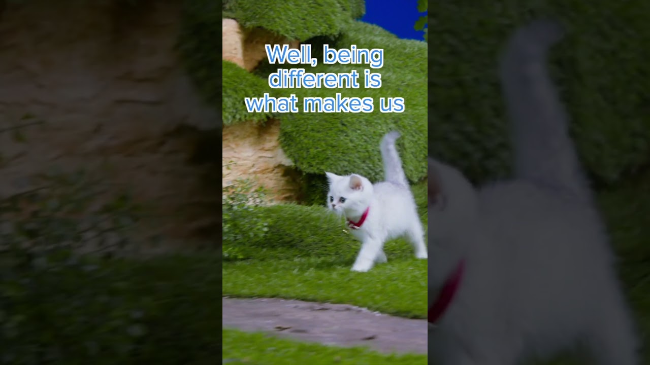 Puppies and kittens are different! 