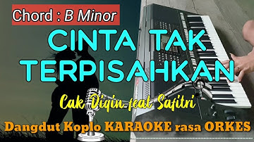 CINTA TAK TERPISAHKAN - Cak Diqin feat Safitri Versi Dangdut Koplo KARAOKE rasa ORKES